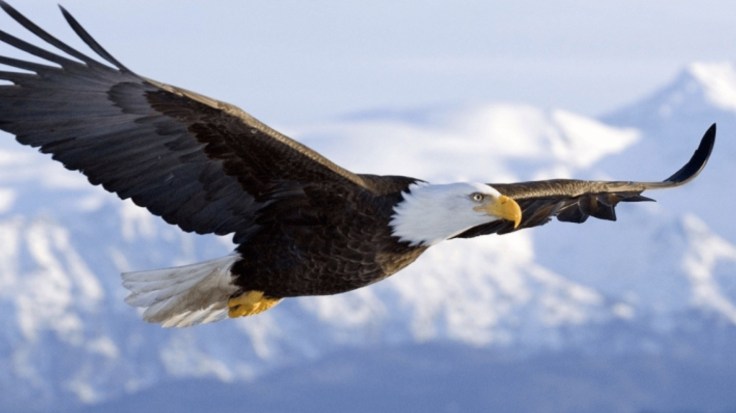 929DB9B3-D9E4-4D41-9290-4A8A6EA846BC